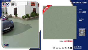 Fico Lux 6509